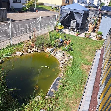 Ferienwohnung Hilgert Sankt Sebastian エクステリア 写真