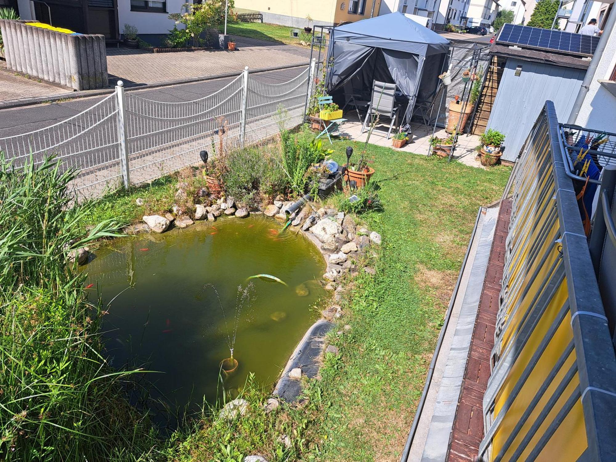 Ferienwohnung Hilgert Sankt Sebastian エクステリア 写真